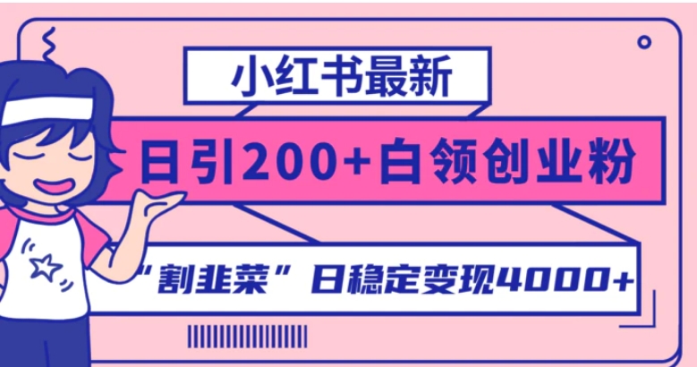 小红书最新日引200+创业粉”割韭菜“日稳定变现4000+实操教程！-柚子资源网