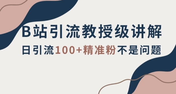 B站引流教授级讲解，细节满满，日引流100+精准粉不是问题【揭秘】-柚子资源网