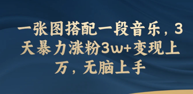 一张图搭配一段音乐，3天暴力涨粉3w+变现上万，无脑上手-柚子资源网