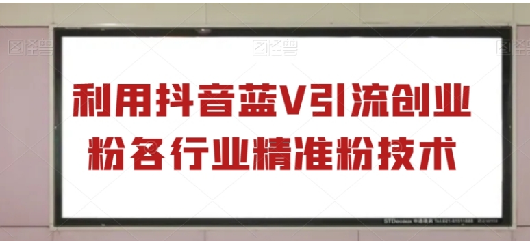 利用抖音蓝V引流创业粉各行业精准粉技术-柚子资源网