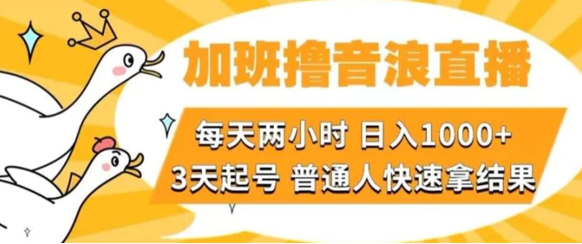 加班撸音浪直播，每天两小时，日入1000+，直播话术才3句，3天起号，普通人快速拿结果【揭秘】-柚子资源网