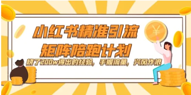 小红书精准引流·矩阵陪跑计划：烧了200w得出的经验，手握流量，兴风作浪！-柚子资源网