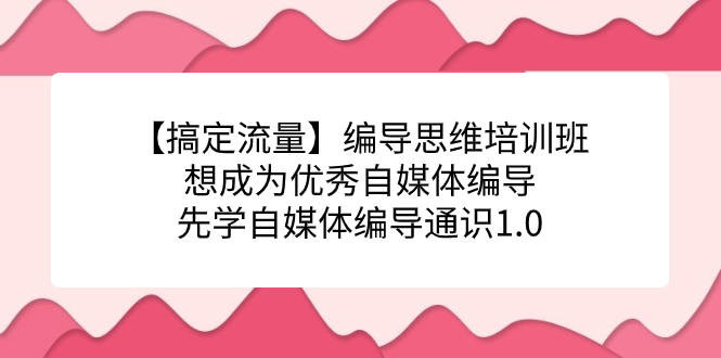 【搞定流量】编导思维培训班，想成为优秀自媒体编导先学自媒体编导通识1.0-柚子资源网