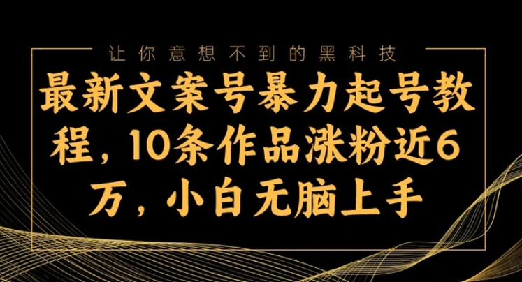 最新文案号暴力起号教程，10条作品涨粉近6万，小白无脑上手-柚子资源网