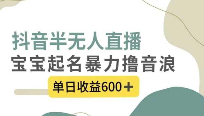 抖音半无人直播，宝宝起名，暴力撸音浪，单日收益600+-柚子资源网