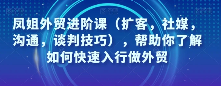 凤姐外贸进阶课，帮助你了解如何快速入行做外贸-柚子资源网