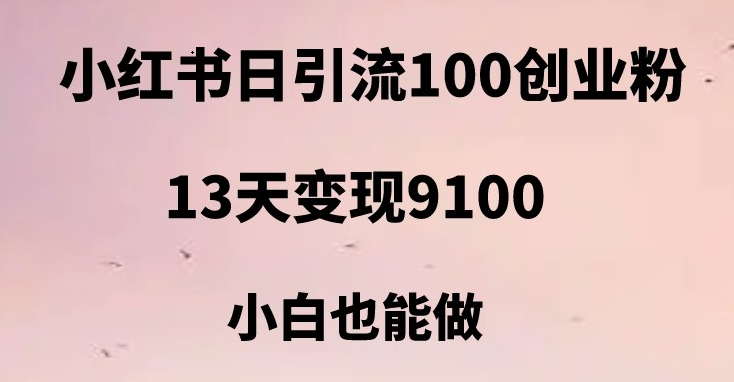 小红书日引流100+创业粉，13天变现9100，创业首选引流平台-柚子资源网