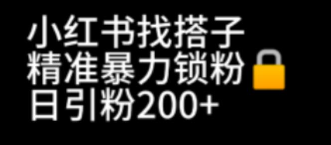 小红书找搭子暴力精准锁粉+引流日引200+精准粉-柚子资源网