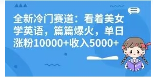 全新冷门赛道：看着美女学英语，篇篇爆火，单日涨粉10000+收入5000+-柚子资源网