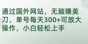 通过国外网站，无脑赚美刀，单号每天300+可放大操作，小白轻松上手【揭秘】-柚子资源网