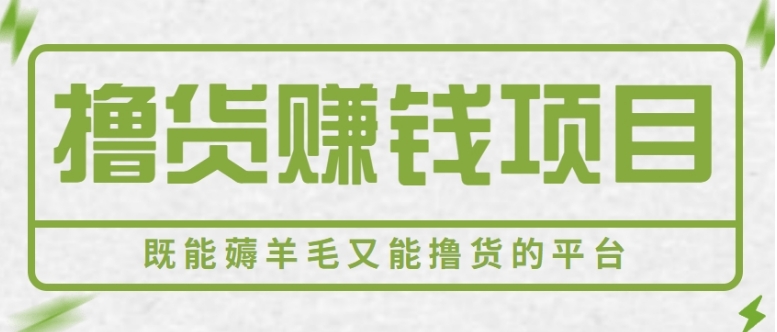 新手小白可做，既能撸货又能薅羊毛赚钱的项目，轻松日赚几十几百元【视频教程】-柚子资源网