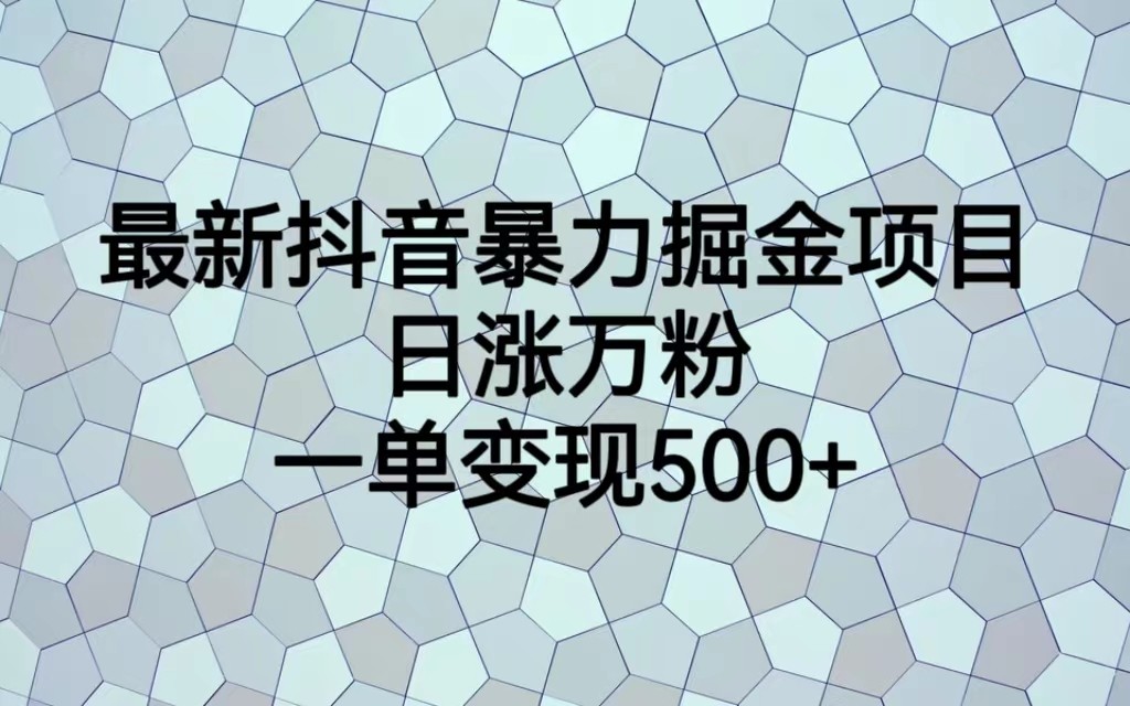 最新抖音暴力掘金项目，日涨万粉，一单变现500+-柚子资源网