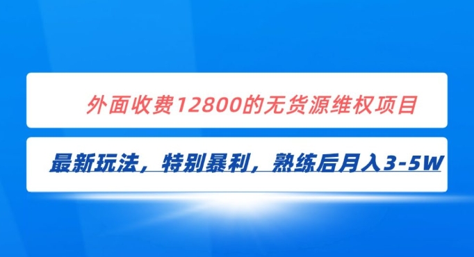 全网首发！外面收费12800的无货源维权最新暴利玩法，轻松月入3-5W-柚子资源网