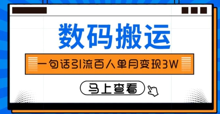 仅靠一句话引流百人变现3万？-柚子资源网