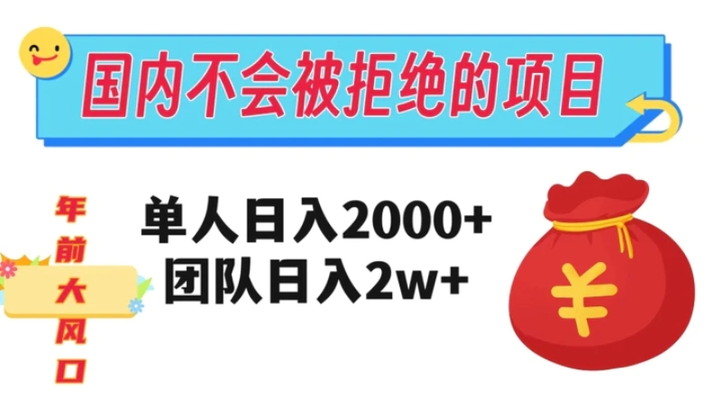 在国内不怕被拒绝的项目，单人日入2000，团队日入20000+【揭秘】-柚子资源网