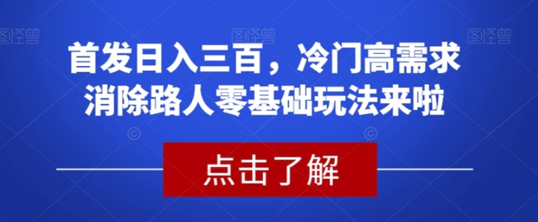 首发日入三百，冷门高需求消除路人零基础玩法来啦【揭秘】-柚子资源网