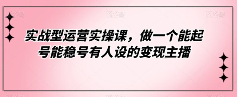 实战型运营实操课，做一个能起号能稳号有人设的变现主播-柚子资源网