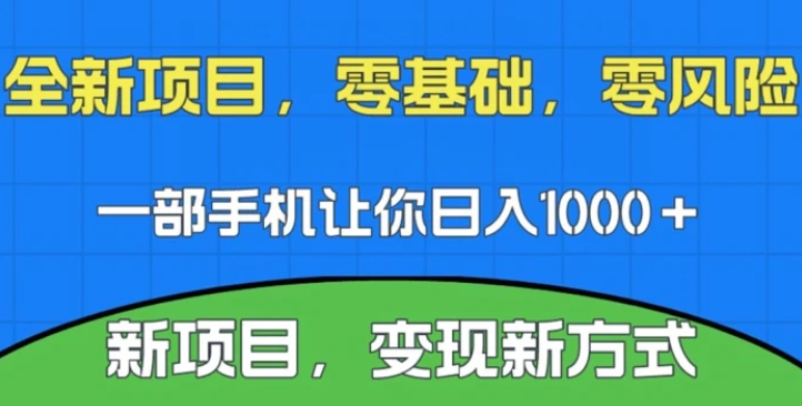 新项目，新平台，一部手机即可日入1000＋，无门槛操作【揭秘】-柚子资源网