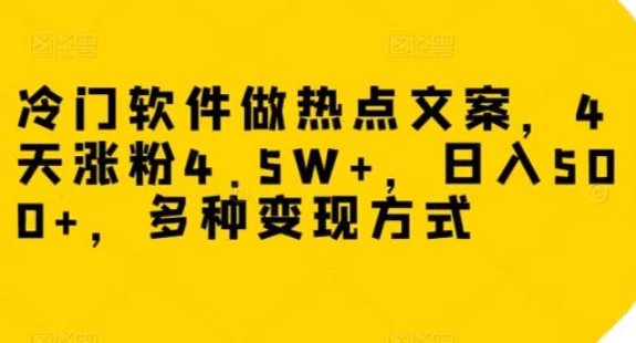 冷门软件做热点文案，4天涨粉4.5W+，日入500+，多种变现方式【揭秘】-柚子资源网