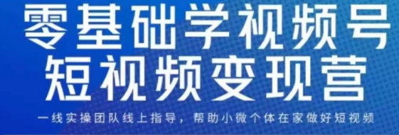 0基础学视频号短视频变现，适合新人学习的短视频变现课-柚子资源网