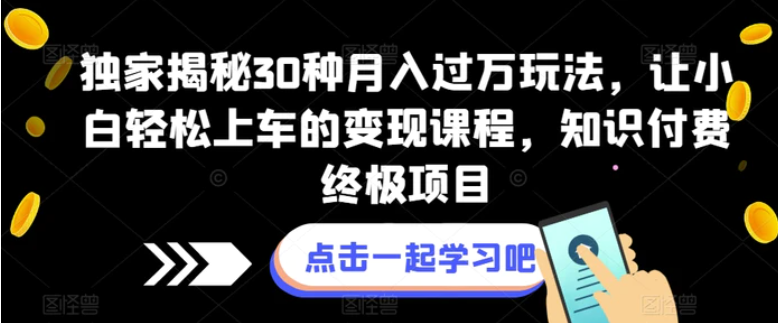 独家揭秘30种月入过万玩法，让小白轻松上车的变现课程，知识付费终极项目【揭秘】-柚子资源网