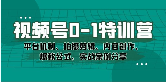 视频号0-1特训营：平台机制、拍摄剪辑、内容创作、爆款公式，实战案例分享-柚子资源网