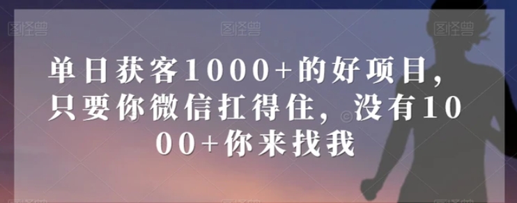 单日获客1000+的好项目，只要你微信扛得住，没有1000+你来找我【揭秘】-柚子资源网