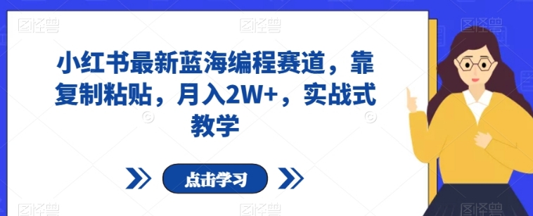 小红书最新蓝海编程赛道，靠复制粘贴，月入2W+，实战式教学【揭秘】-柚子资源网