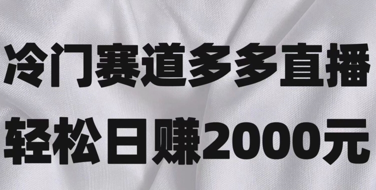 冷门赛道拼多多直播，简单念稿子，日收益2000＋【揭秘】-柚子资源网