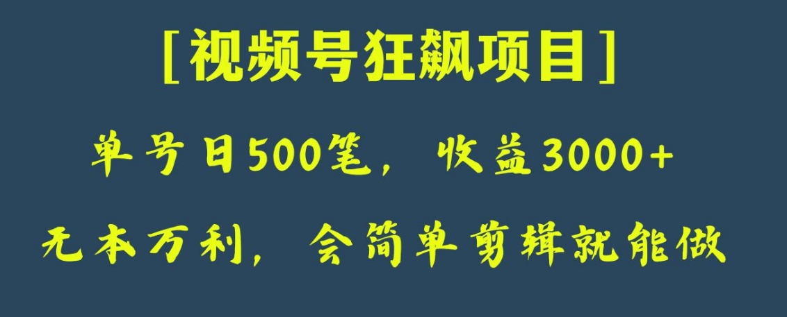 日收款500笔，纯利润3000+，视频号狂飙项目！-柚子资源网