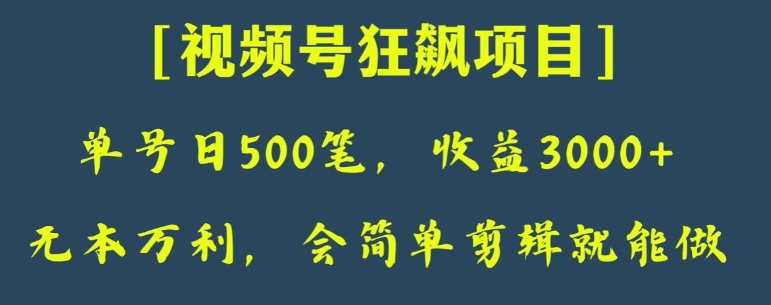 日收款500笔，纯利润3000+，视频号狂飙项目，会简单剪辑就能做【揭秘】-柚子资源网