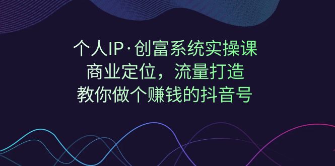 个人IP·创富系统实操课：商业定位，流量打造，教你做个赚钱的抖音号-柚子资源网