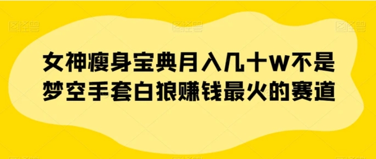 女神瘦身宝典月入几十W不是梦空手套白狼赚钱最火的赛道【揭秘】-柚子资源网