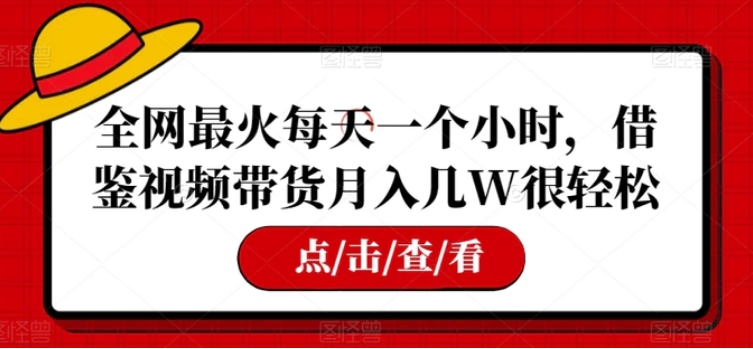 全网最火每天一个小时，借鉴视频带货月入几W很轻松【揭秘】-柚子资源网