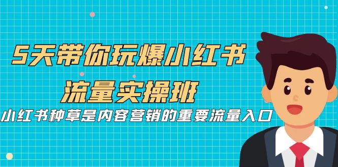 5天带你玩爆小红书流量实操班，小红书种草是内容营销的重要流量入口-柚子资源网