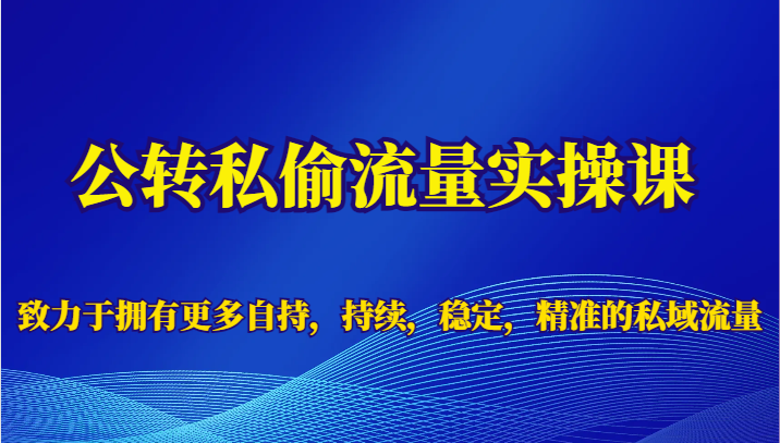 公转私偷流量实操课，致力于拥有更多自持，持续，稳定，精准的私域流量-柚子资源网