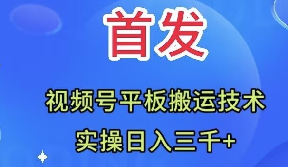 全网首发：视频号平板搬运技术，实操日入三千＋-柚子资源网