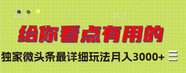 独家微头条最详细玩法，月入3000+【揭秘】-柚子资源网