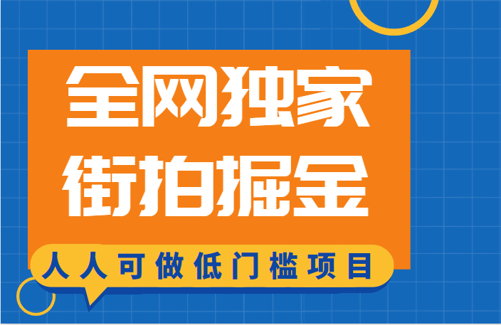 全网独家一街拍掘金，低门槛人人可做的赚钱项目-柚子资源网