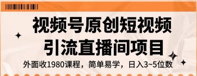 视频号原创短视频引流直播间项目，日入3~5五位数【揭秘】-柚子资源网