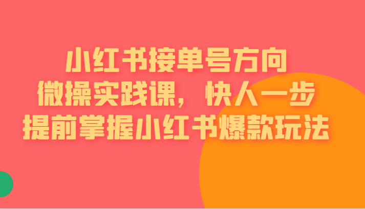 小红书接单号方向微操实践课，快人一步提前掌握小红书爆款玩法-柚子资源网