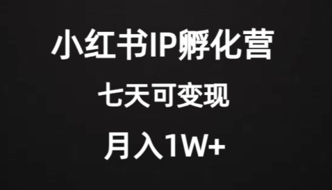 价值2000+的小红书IP孵化营项目，超级大蓝海，七天即可开始变现，稳定月入1W+-柚子资源网