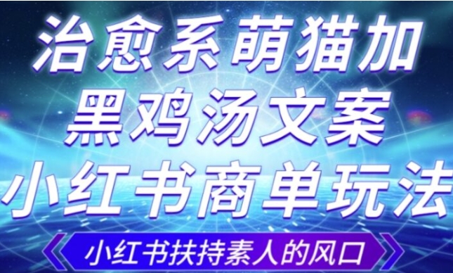 治愈系萌猫加+黑鸡汤文案，小红书商单玩法，3~10天涨到1000粉，一单200左右-柚子资源网