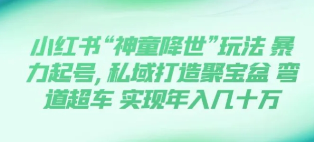 小红书“神童降世”玩法 暴力起号,私域打造聚宝盆 弯道超车 实现年入几十万-柚子资源网