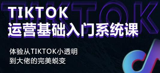 《Tiktok运营基础入门系统课》从tiktok小白到大佬的完美蜕变-柚子资源网