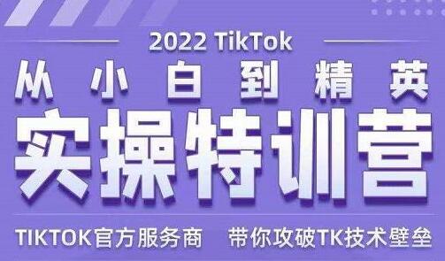 Seven漆《Tiktok从小白到精英实操特训营》带你掌握Tiktok账号运营-柚子资源网