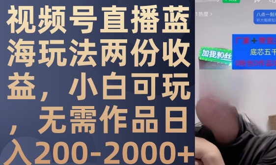 视频号直播蓝海玩法两份收益，小白可玩，无需作品日入200-2000+-柚子资源网