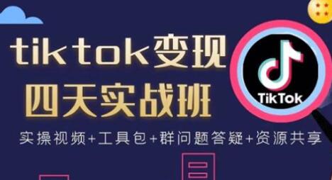 tiktok变现四天实战班视频：连怼技术+矩阵玩法赚,单账号月入2000美金-柚子资源网