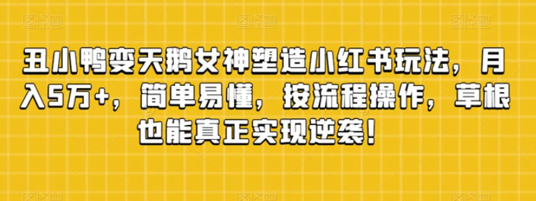 丑小鸭变天鹅女神塑造小红书玩法，月入5万+，简单易懂，按流程操作，草根也能真正实现逆袭！-柚子资源网