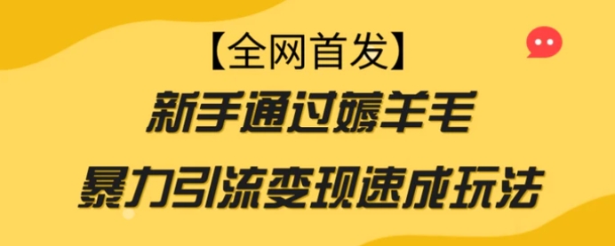 【全网首发】新手通过薅羊毛暴力引流变现速成玩法-柚子资源网